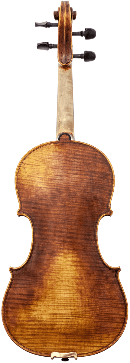 Raffaele- 520VN - Cremonese - Back